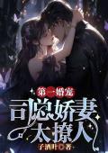 第一婚宠，司总娇妻太撩人