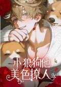 小狼狗他美色撩人