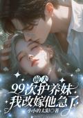 前夫99次护养妹，我改嫁他急了