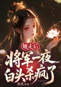 她走后，将军一夜白头杀疯了