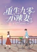 重生九零小辣妻