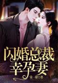 闪婚总裁幸孕妻