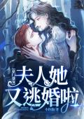 豪门盛宠：夫人她又逃婚啦
