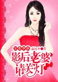 宠妻有瘾：影后老婆请关灯