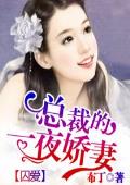 囚爱：总裁的一夜娇妻